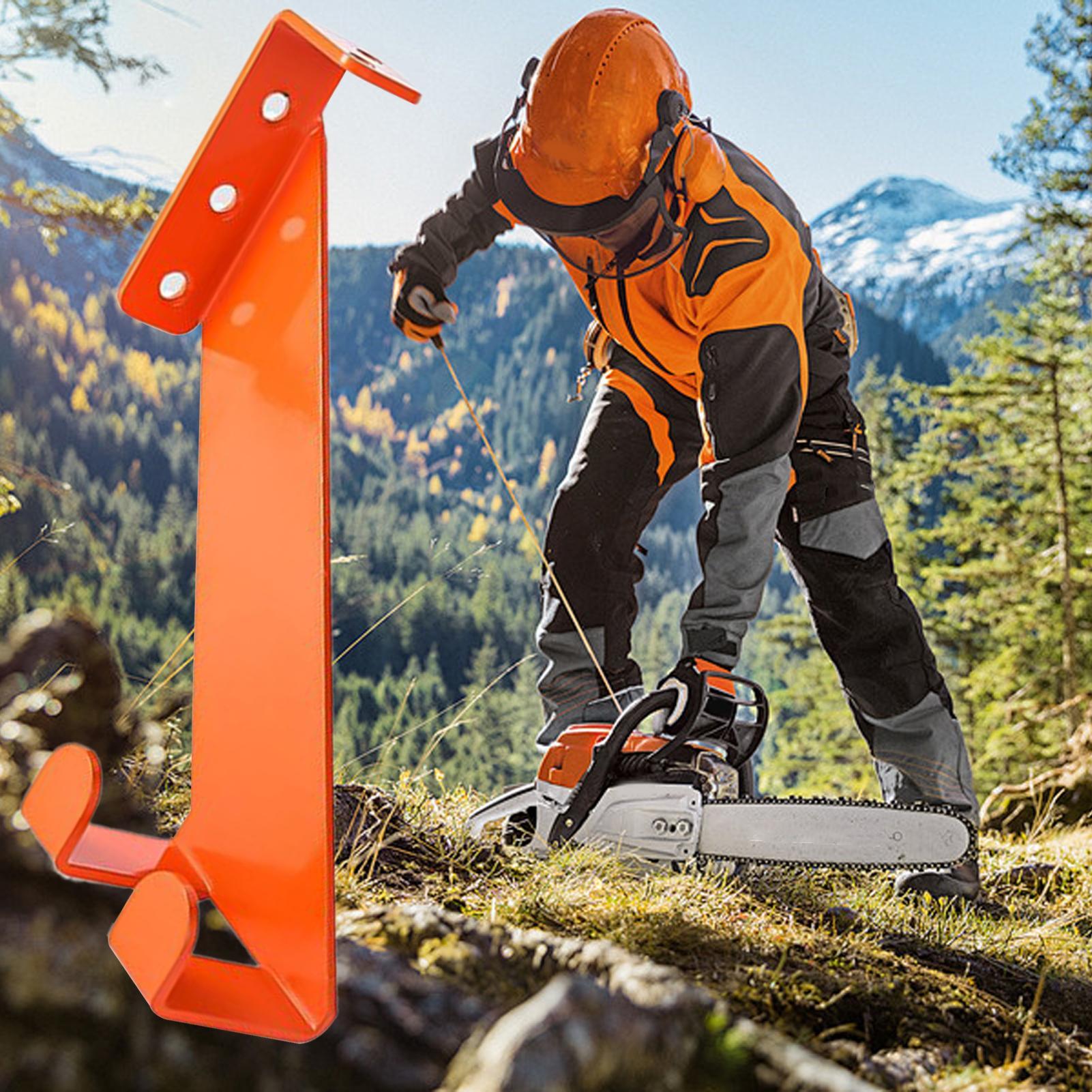 Chainsaw Wall Mount Stainless  - đánh giá và giá Workshop Tools Display